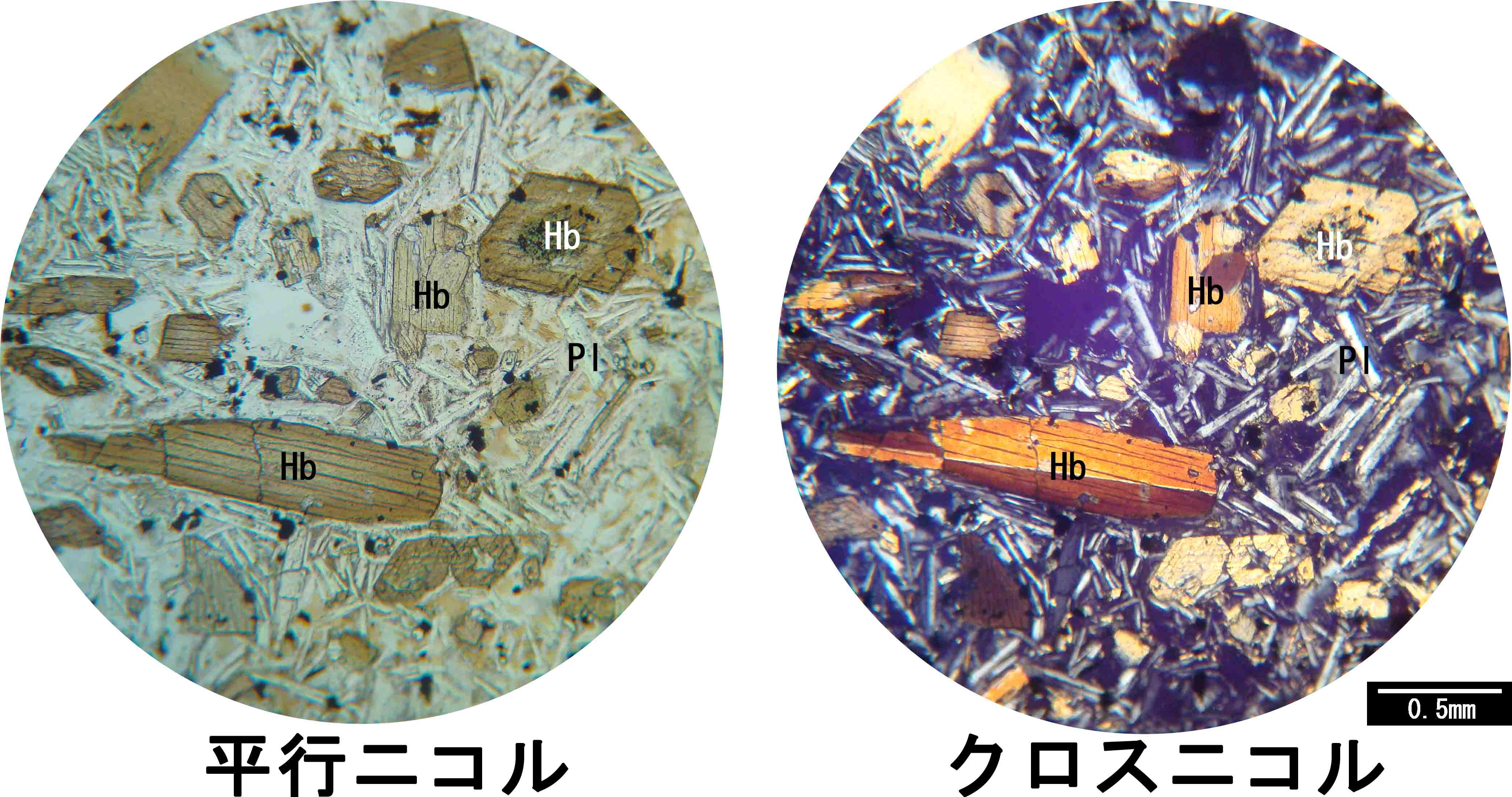 普通角閃石 hornblende 普通角閃石 hornblende